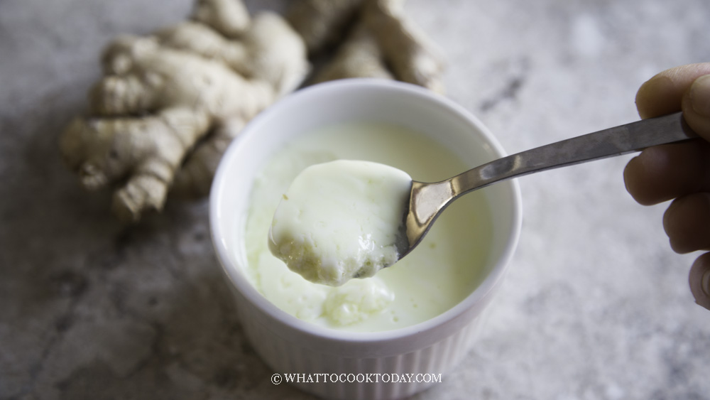How To Make Ginger Milk Curd/Pudding