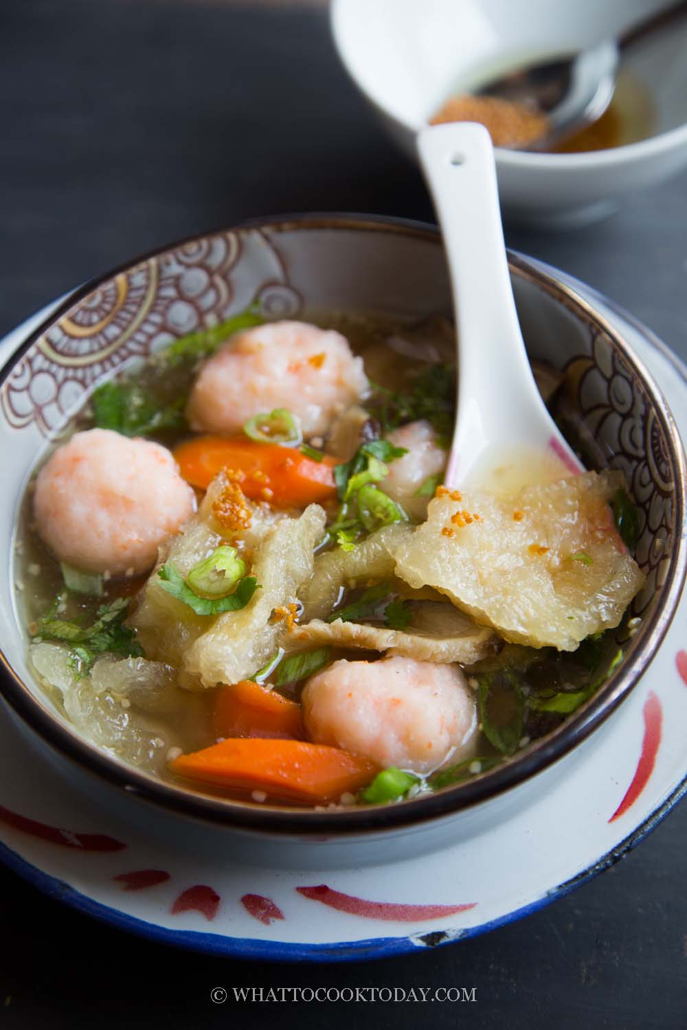 Nyonya Fish Maw Soup (Hu Pioh / Yu Piu Soup)