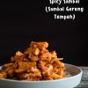 Sambal Goreng Tempeh (Fried Tempeh in Spicy Sambal)